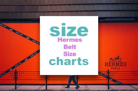 hermes standard size|hermes size chart.